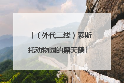 （外代二线）索斯托动物园的黑天鹅