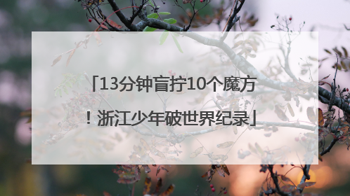 13分钟盲拧10个魔方！浙江少年破世界纪录