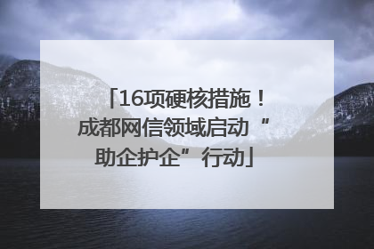 16项硬核措施！成都网信领域启动“助企护企”行动