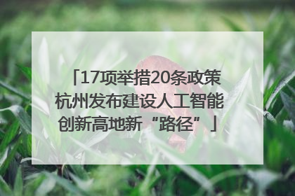 17项举措20条政策 杭州发布建设人工智能创新高地新“路径”