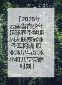 2025年云南省青少年足球春季学期周末联赛冠亚季军揭晓 职业球星与足球小将共享荣耀时刻