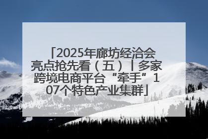 2025年廊坊经洽会亮点抢先看（五）丨多家跨境电商平台“牵手”107个特色产业集群