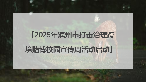 2025年滨州市打击治理跨境赌博校园宣传周活动启动