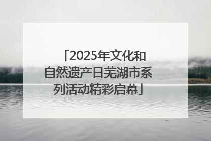 2025年文化和自然遗产日芜湖市系列活动精彩启幕