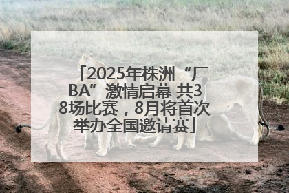 2025年株洲“厂BA”激情启幕 共38场比赛，8月将首次举办全国邀请赛