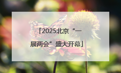 2025北京“一展两会”盛大开幕