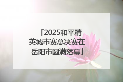 2025和平精英城市赛总决赛在岳阳市圆满落幕