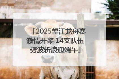 2025望江龙舟赛激情开桨 14支队伍劈波斩浪迎端午