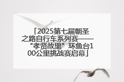 2025第七届朝圣之路自行车系列赛——“孝贤故里”环鱼台100公里挑战赛启幕