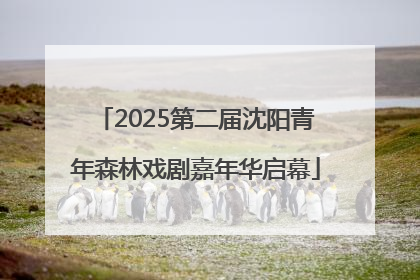 2025第二届沈阳青年森林戏剧嘉年华启幕
