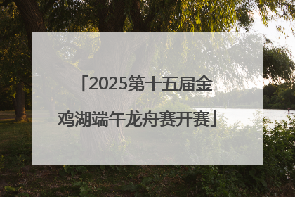2025第十五届金鸡湖端午龙舟赛开赛