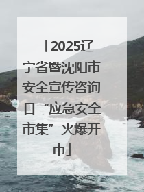 2025辽宁省暨沈阳市安全宣传咨询日“应急安全市集”火爆开市