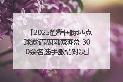2025鹤壁国际匹克球邀请赛圆满落幕 300余名选手激情对决