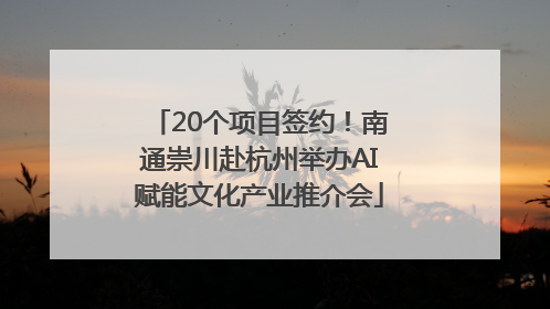 20个项目签约！南通崇川赴杭州举办AI赋能文化产业推介会
