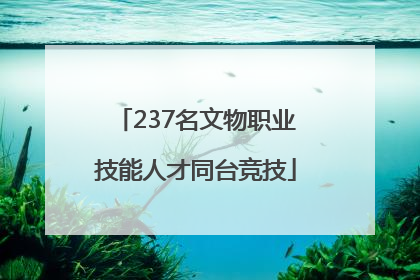 237名文物职业技能人才同台竞技
