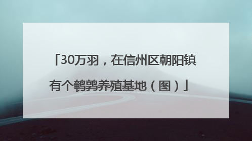 30万羽，在信州区朝阳镇有个鹌鹑养殖基地（图）