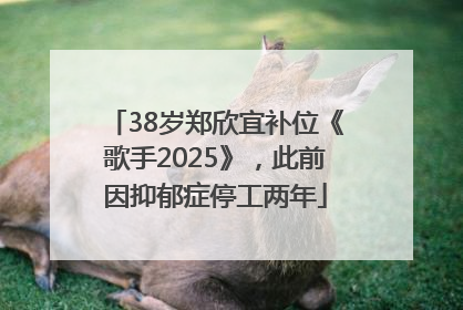 38岁郑欣宜补位《歌手2025》，此前因抑郁症停工两年