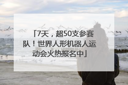 7天，超50支参赛队！世界人形机器人运动会火热报名中