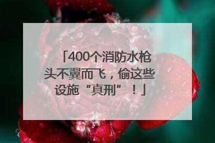 400个消防水枪头不翼而飞，偷这些设施“真刑”！