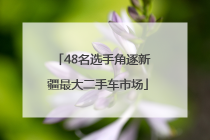 48名选手角逐新疆最大二手车市场