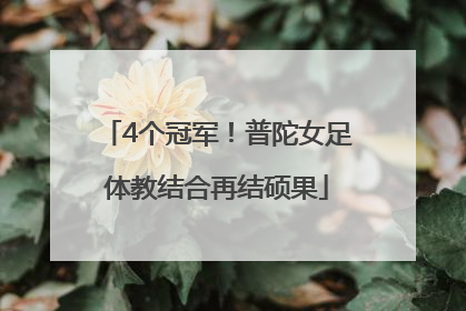 4个冠军！普陀女足体教结合再结硕果