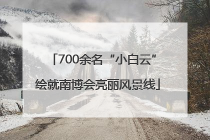 700余名“小白云”绘就南博会亮丽风景线