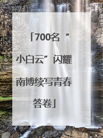 700名“小白云”闪耀南博续写青春答卷