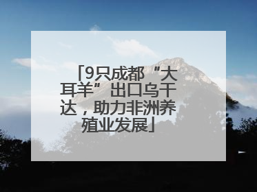 9只成都“大耳羊”出口乌干达，助力非洲养殖业发展