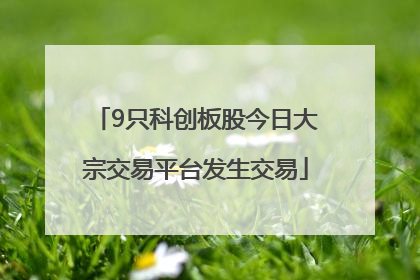 9只科创板股今日大宗交易平台发生交易