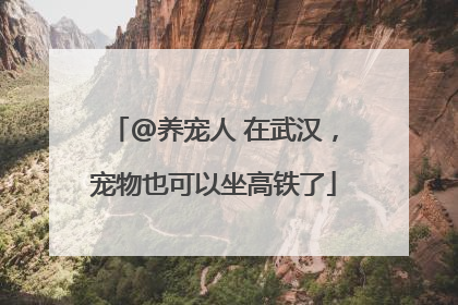 @养宠人 在武汉，宠物也可以坐高铁了