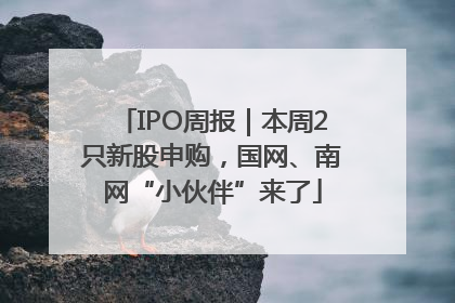 IPO周报｜本周2只新股申购，国网、南网“小伙伴”来了