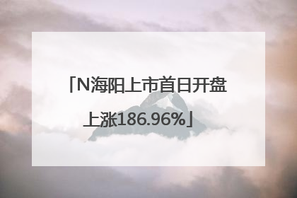 N海阳上市首日开盘上涨186.96%